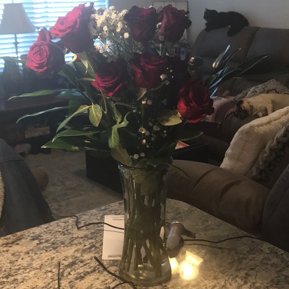 Meet your Posher, Rhonda - Picture 13 of 16